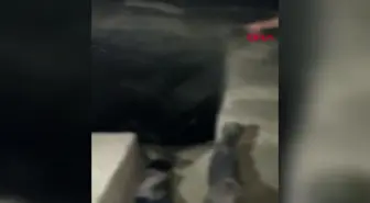 Eski Bursa İl Sağlık Müdürü Kemah Kalesi'nde Dehlize Düştü