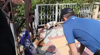 Belen Emniyet Müdürlüğü, Dünya Hayvanları Koruma Günü'nde sahipsiz hayvanlara mama dağıttı