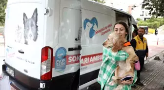 Eyüpsultan Belediyesi Sokak Hayvanları Ambulansı Hizmet Vermeye Devam Ediyor