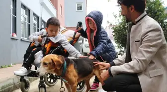 Zonguldak'taki Uzunmehmet Özel Eğitim Uygulama Okulu, Görme Engelli Köpeği Sahiplendi