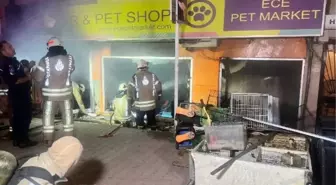 Maltepe'de Petshop Yangınında Muhabbet Kuşları Öldü, Köpek Kurtuldu