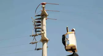 Toroslar EDAŞ, kuş çarpılmalarını azaltmak için mücadelesine devam ediyor