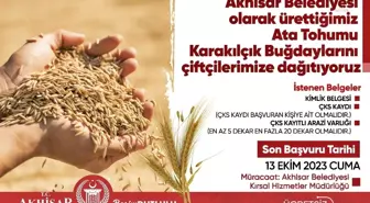 Akhisar Belediyesi, Genetiği Değiştirilmemiş Karakılçık Buğdayını Çiftçilere Ücretsiz Dağıtıyor