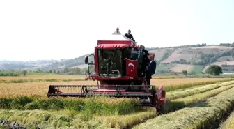 Samsun'da 9. Çeltik Hasat Şenliği Gerçekleştirildi