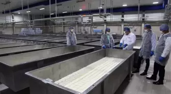 Çanakkale'de Et, Süt, Yumurta Üreten İşletmelere Denetim Başladı