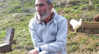 Tunceli'de Ceviz Toplarken Ağaçtan Düşen Kişi Hayatını Kaybetti
