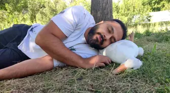 Erzurum'da Harikalar Diyarı: Türkiye'nin İlk Süs Tavuk Çiftliği