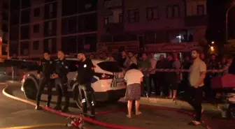 Maltepe'de Petshop'ta Çıkan Yangında Muhabbet Kuşları Telef Oldu, Köpek Son Anda Kurtuldu