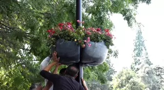 Bilecik Belediyesi Şehirde Çiçeklendirme Çalışmalarına Devam Ediyor