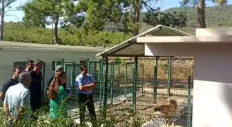 Bozyazı Kaymakamı Hayvanları Koruma Bilincini Vurguladı