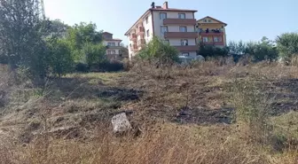 Bolu'nun Yeniçağa ilçesinde çıkan ot yangını itfaiye tarafından söndürüldü