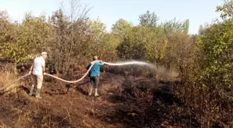 Çorum'un Dodurga ilçesinde çıkan yangında 2 dönüm ceviz bahçesinde zarar oluştu
