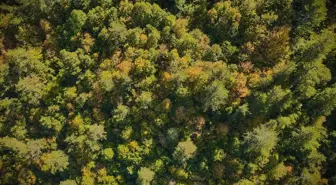 Ilgaz Dağı, sonbahar renkleriyle ziyaretçilerini ağırlıyor
