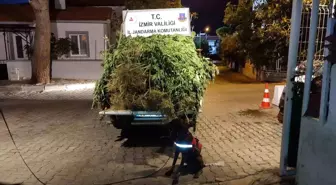 İzmir'de Uyuşturucu Operasyonunda 65 Kişi Gözaltına Alındı