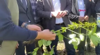 KARS'TA, 'TARLA GÜNÜ' VE 'KOÇ KATIMI' DÜZENLENDİ