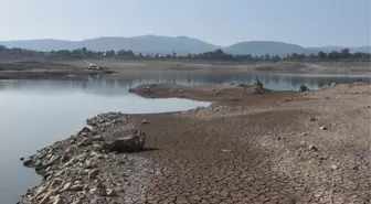 Muğla'daki barajlar kuruldu, uzmanlar endişeli: Bizi zor günler bekliyor