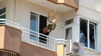 Antalya'da Sinir Krizi Geçiren Kadın Evinin Eşyalarını Balkondan Attı
