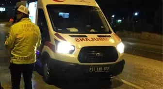 Bilecik'te Köpeğe Çarpan Araç Sürücüsü Yaralandı