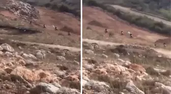 Hizbullah militanları motosikletleriyle İsrail sınırına doğru harekete geçti