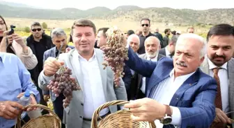 Aksaray Belediyesi 2. Geleneksel Bağ Bozumu ve Pekmez Festivali düzenledi