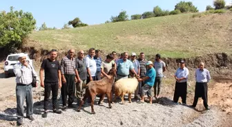 Hatay'da su sorunu giderilen depremzedeler mevlit okuttu
