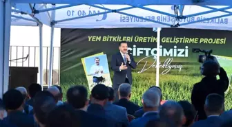 Balıkesir Büyükşehir'den üreticiye süt otu tohumu desteği