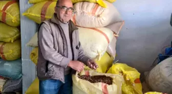 Fındık Fiyatları 125 Lirayı Görebilir