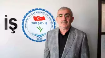 Rize'de İlk Mevsimlik İşçi Sendikası Kuruldu