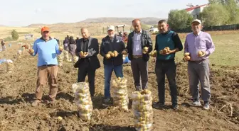 Sivas'ın Zara ilçesinde patates hasadı başladı