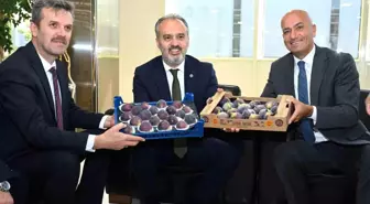 Bursa Siyah İnciri Çalıştayı ve B2B Alım Heyeti Faaliyeti Başladı