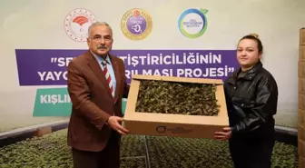 Ordu Büyükşehir Belediyesi 3 Milyon Sebze Fidesini Üreticilere Dağıttı