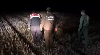 Edirne'de Jandarma Bıldırcın Ses Yayınına El Koydu