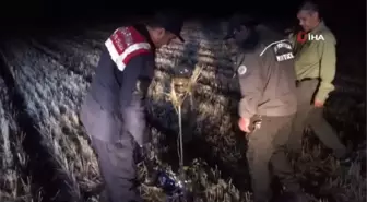 Jandarma bıldırcın sesi çıkaran ses yayın cihazı ve teçhizatına el koydu