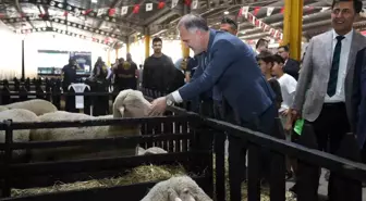 Küçükbaş Hayvancılık Festivali 40 bin sektör temsilcisini İnegöl'de buluşturdu