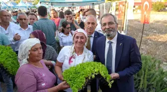 Tarsus Belediyesi, Vatandaşlara Ücretsiz Fide ve Tohum Dağıttı