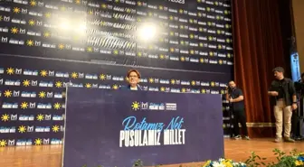 Meral Akşener: İttifak sistemlerinin hiçbir faydası yok