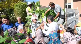 Anamur Belediyesi Kadın Çiftçilere Ücretsiz Avokado Fidanı Dağıttı