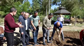 Bitlis'te tıbbı aromatik bitkilerin yetiştirildiği bahçe oluşturuluyor