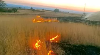 Çankırı'da çıkan ot yangını itfaiye ekipleri tarafından söndürüldü