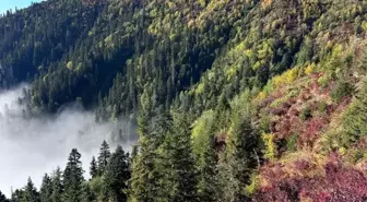 Kaçkar Dağları'nda iki mevsim bir arada yaşanıyor