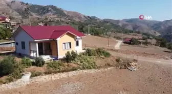 Yanan orman ve bahçeler devlet desteği ile yeniden yeşerdi