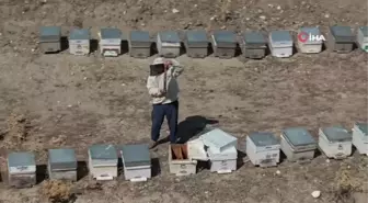 Antalya'da Hasat ve Bal Şenliği Renkli Görüntülere Sahne Oldu