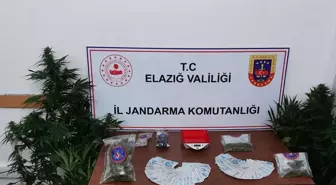 Elazığ'da uyuşturucu operasyonu: 4 şüpheli gözaltına alındı