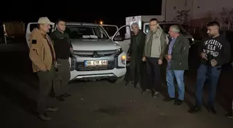 Karabük kent merkezine inen yavru ayı kameralarca kaydedildi