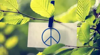 Pasifizm nedir? Pasifizm temsilcileri kimler? Pasifizm özellikleri neler?
