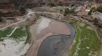 Torul Barajı'nda sular çekildi, tarihi Torul Köprüsü gün yüzüne çıktı