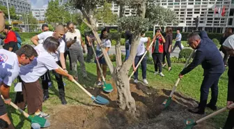 Antalya Büyükşehir Belediye Başkanı Muhittin Böcek, Gençlerle Zeytin Ağacı Dikti