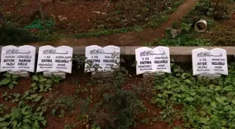 Rize'de 4 eşin mezar taşları yan yana