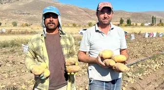 Nevşehir'de Kışlık Patates Hasadı Başladı