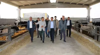 Şanlıurfa Valisi Gıda ve Besi OSB'leri Ziyaret Etti